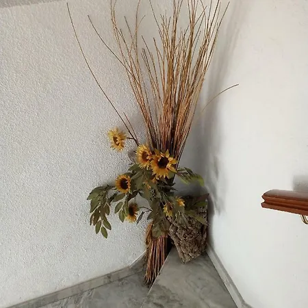 La Casa De Santa Lucia Séjour à la campagne Aracena